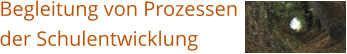 Begleitung von Prozessen der Schulentwicklung